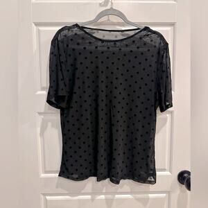 Sheer Polka Dot Mesh Short Sleeve Top